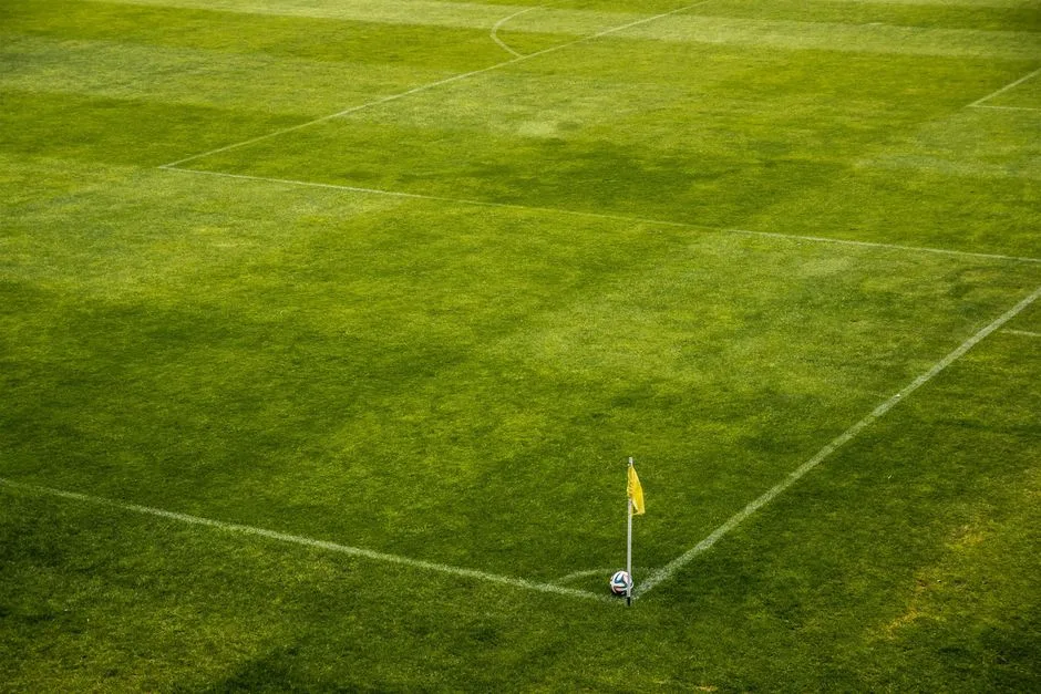Value bet : comparer probabilité et cote
