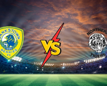 Bankstown Berries - Northern Tigers : meilleure cote et coup a jouer Bankstown Berries vs Northern Tigers