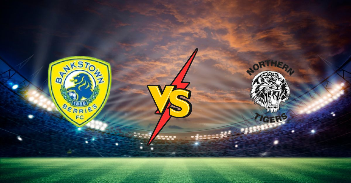 Bankstown Berries vs Northern Tigers