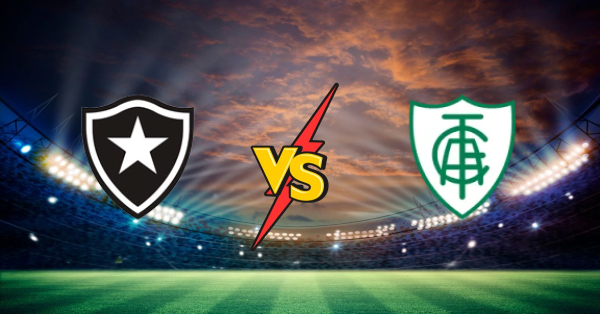 Botafogo Fr Rj vs America FC Mg