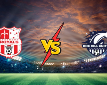 Essendon Royals SC - Box Hill United : meilleure cote et coup a jouer Essendon Royals SC vs Box Hill United