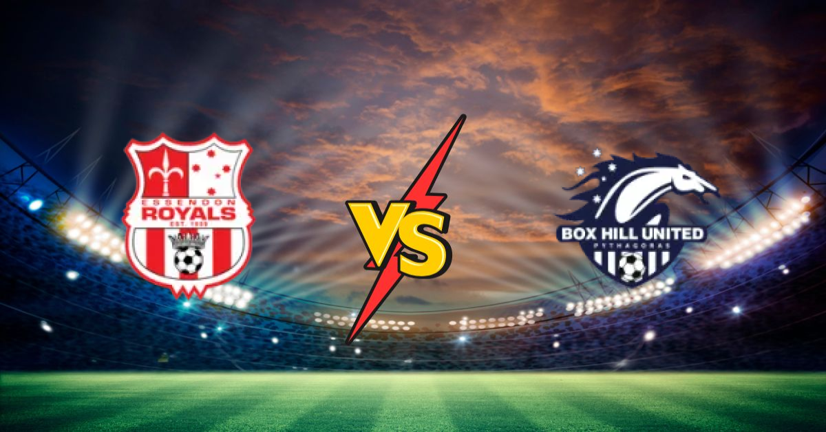 Essendon Royals SC vs Box Hill United
