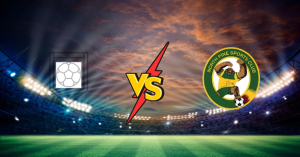 North Brisbane FC vs North Pine