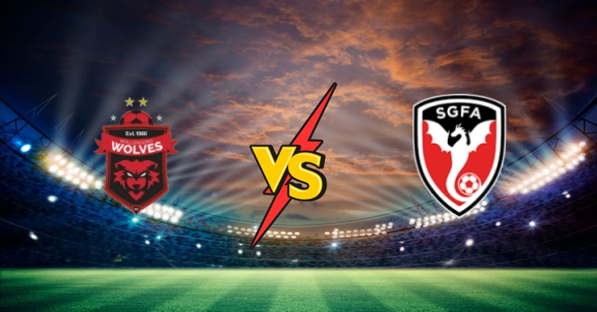 Wollongong Wolves FC vs St George Saints